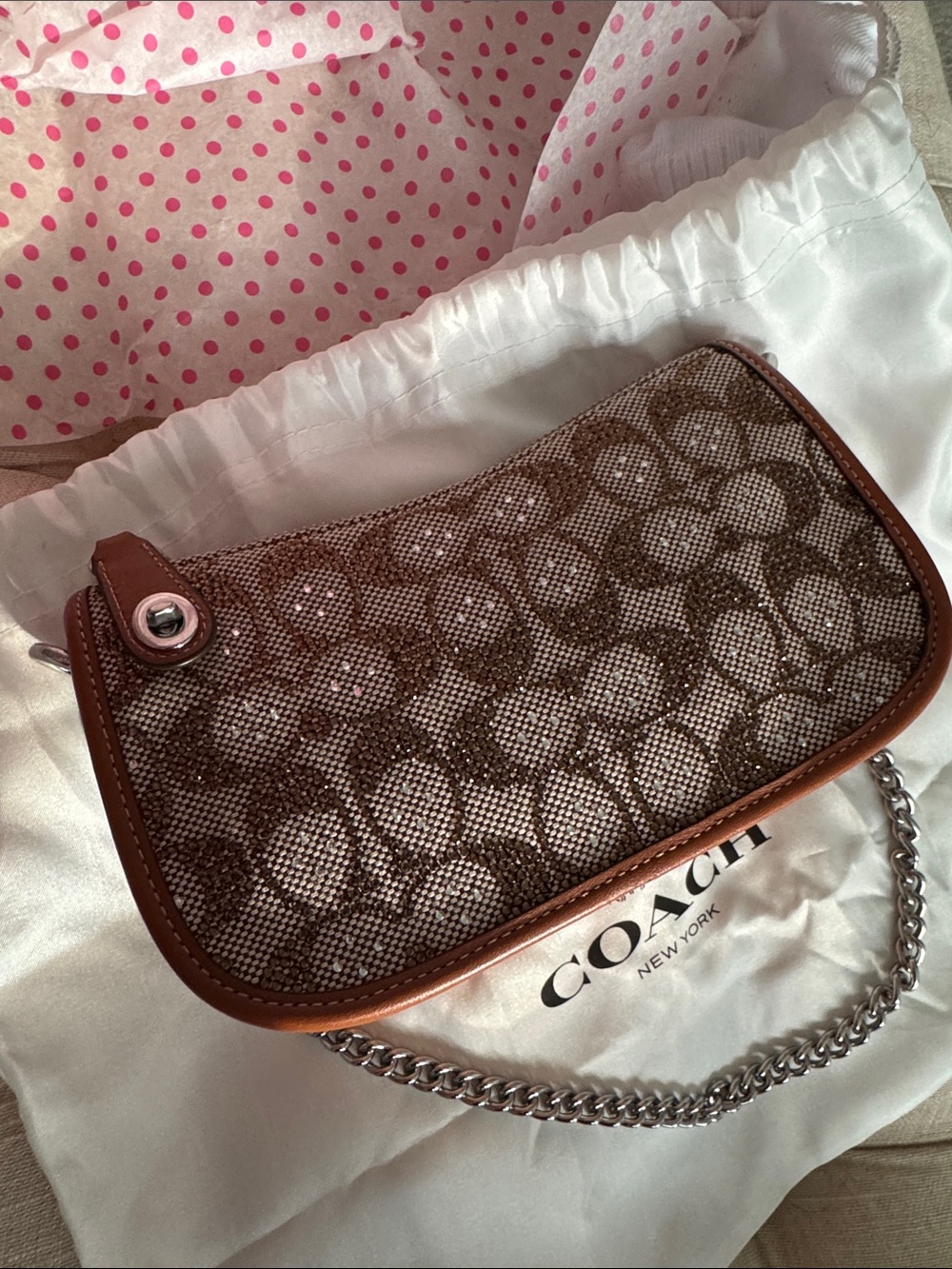 Coach Signature Canvas Crystal Swinger